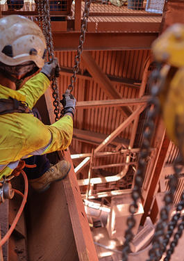 Dropped Object Survey