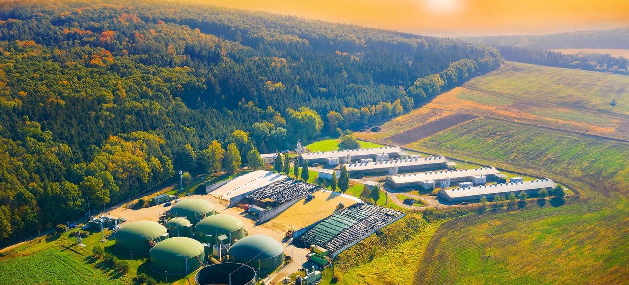 Carbon Border Adjustment Mechanism: Your Guide to CBAM Compliance