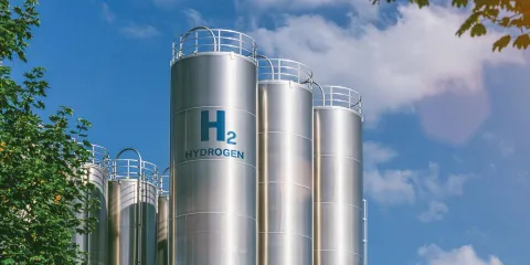 shutterstock_2167011517