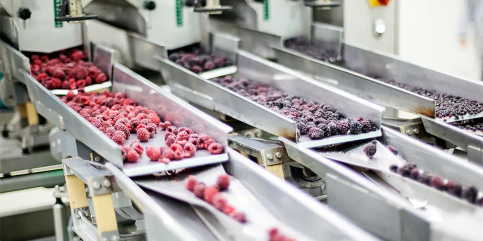 food manufacturing 2