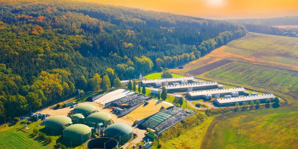 Carbon Border Adjustment Mechanism: Your Guide to CBAM Compliance
